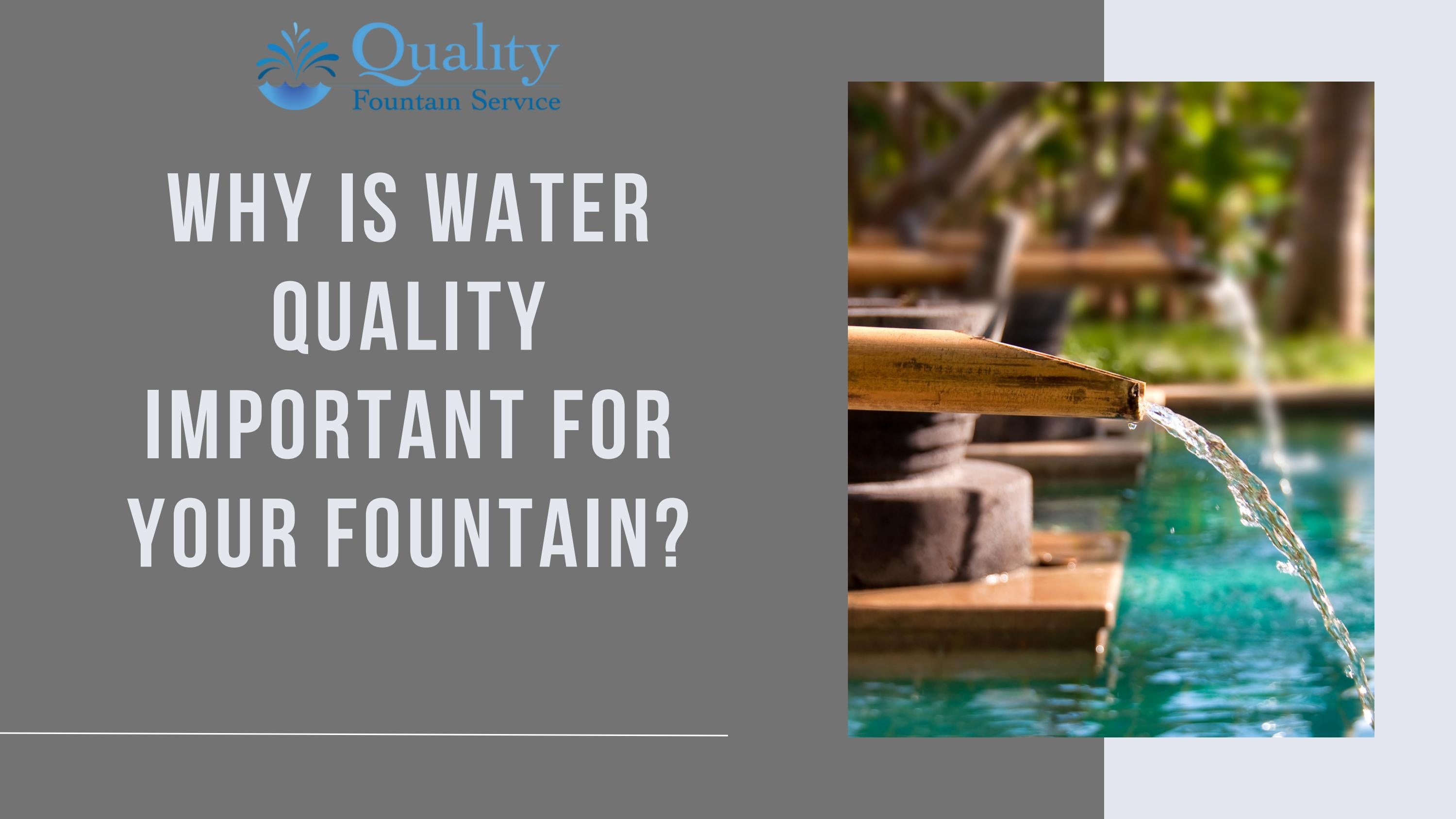 Why Water Quality is Crucial for Your Fountain and How to Treat it