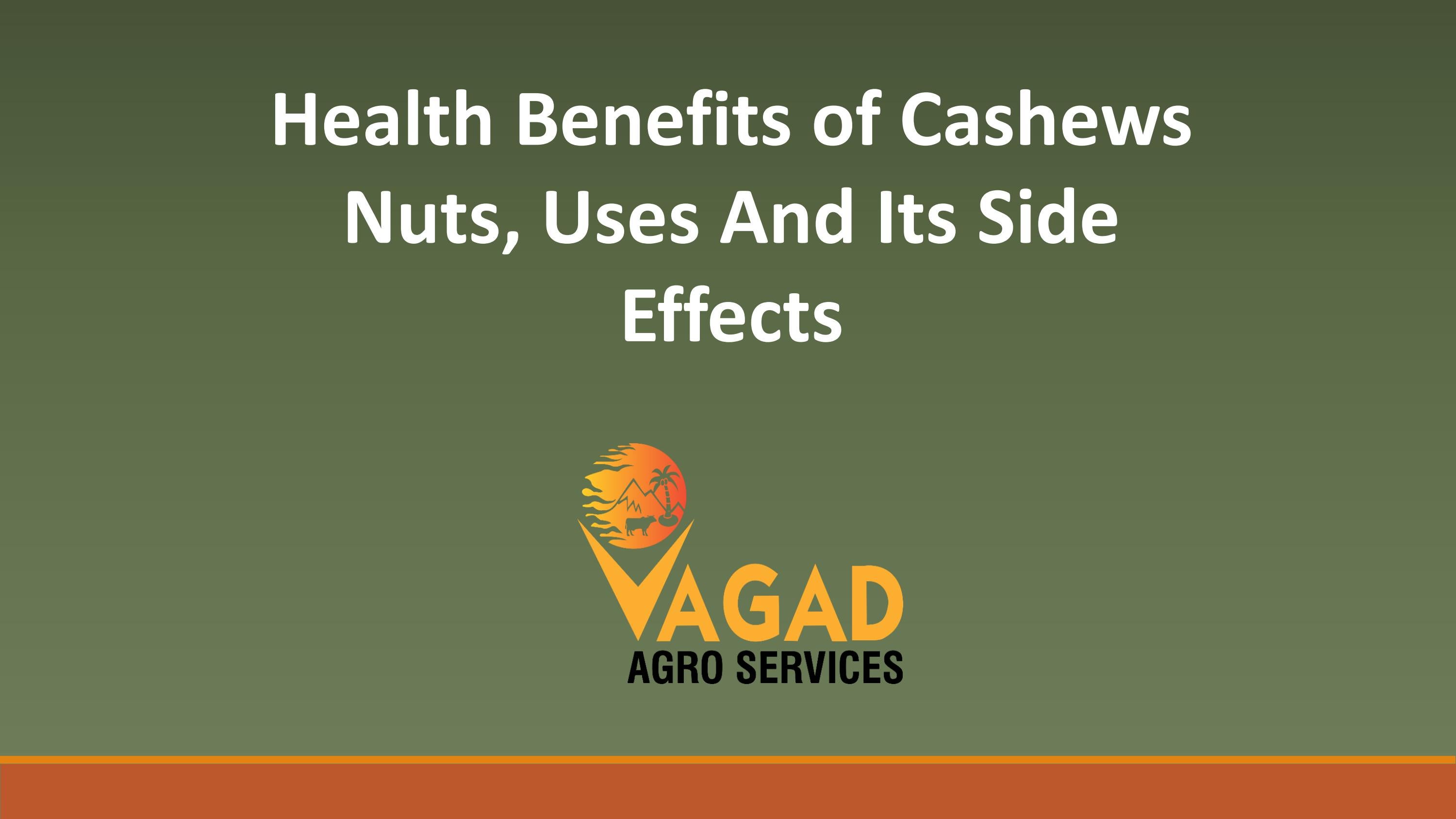 Health Benefits of Cashews Nuts, Uses And Its Side Effects by Vagad