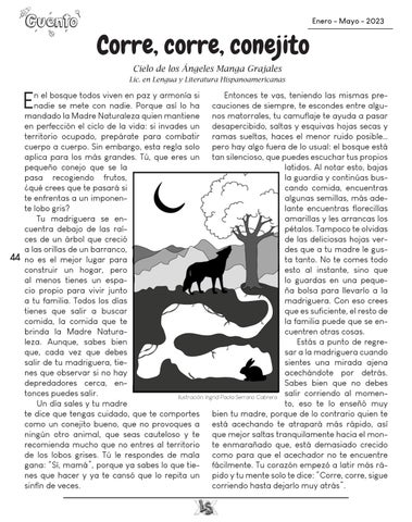 Page 45
