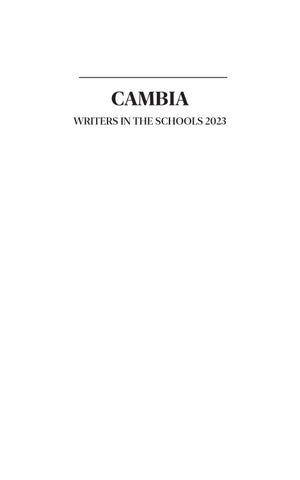 2023 Cambia 第 3 页
