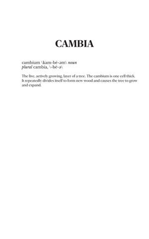 2023 Cambia 第 5 页