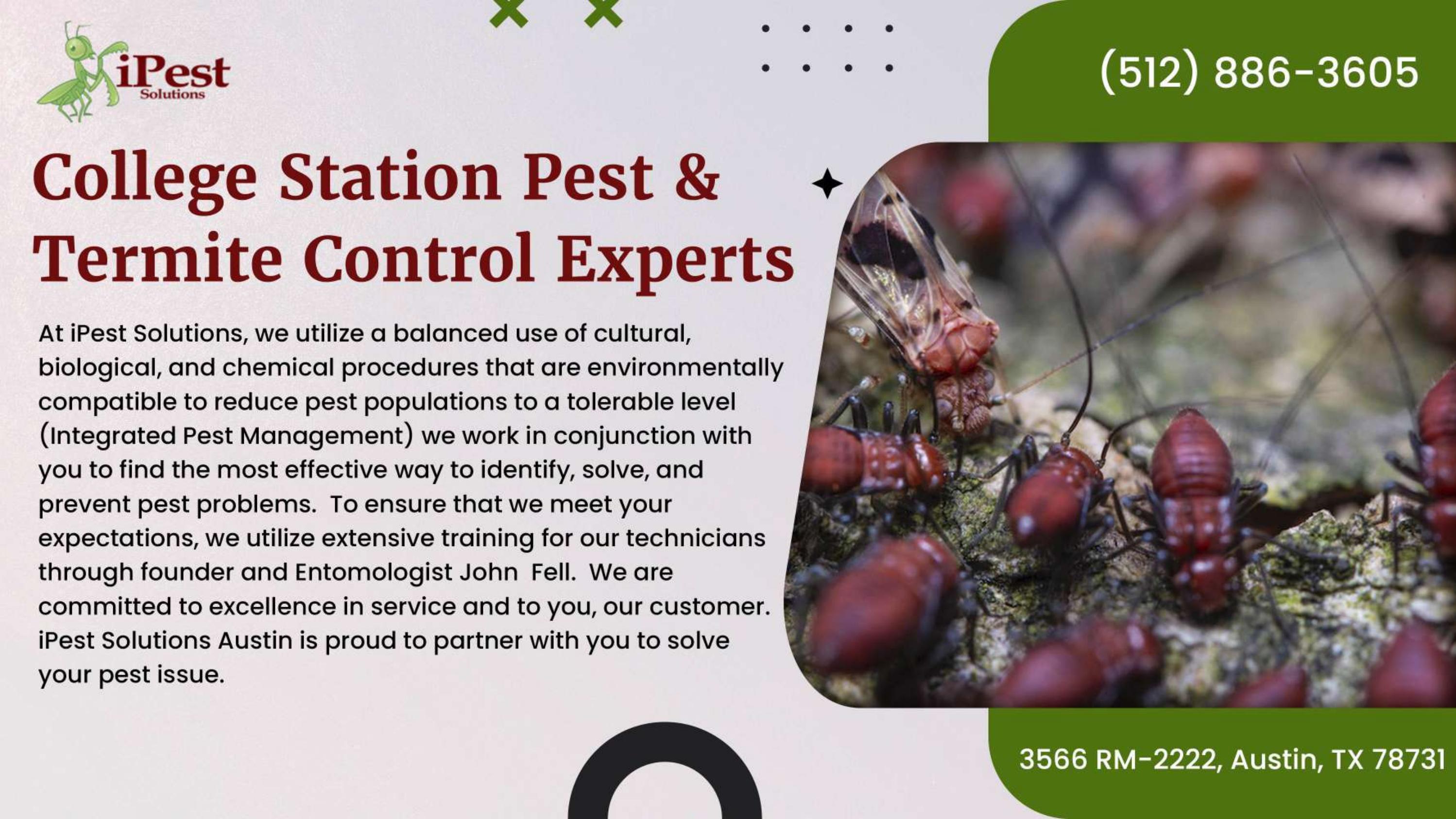 SAN ANTONIO & AUSTIN TERMITE CONTROL by ipestpros Issuu