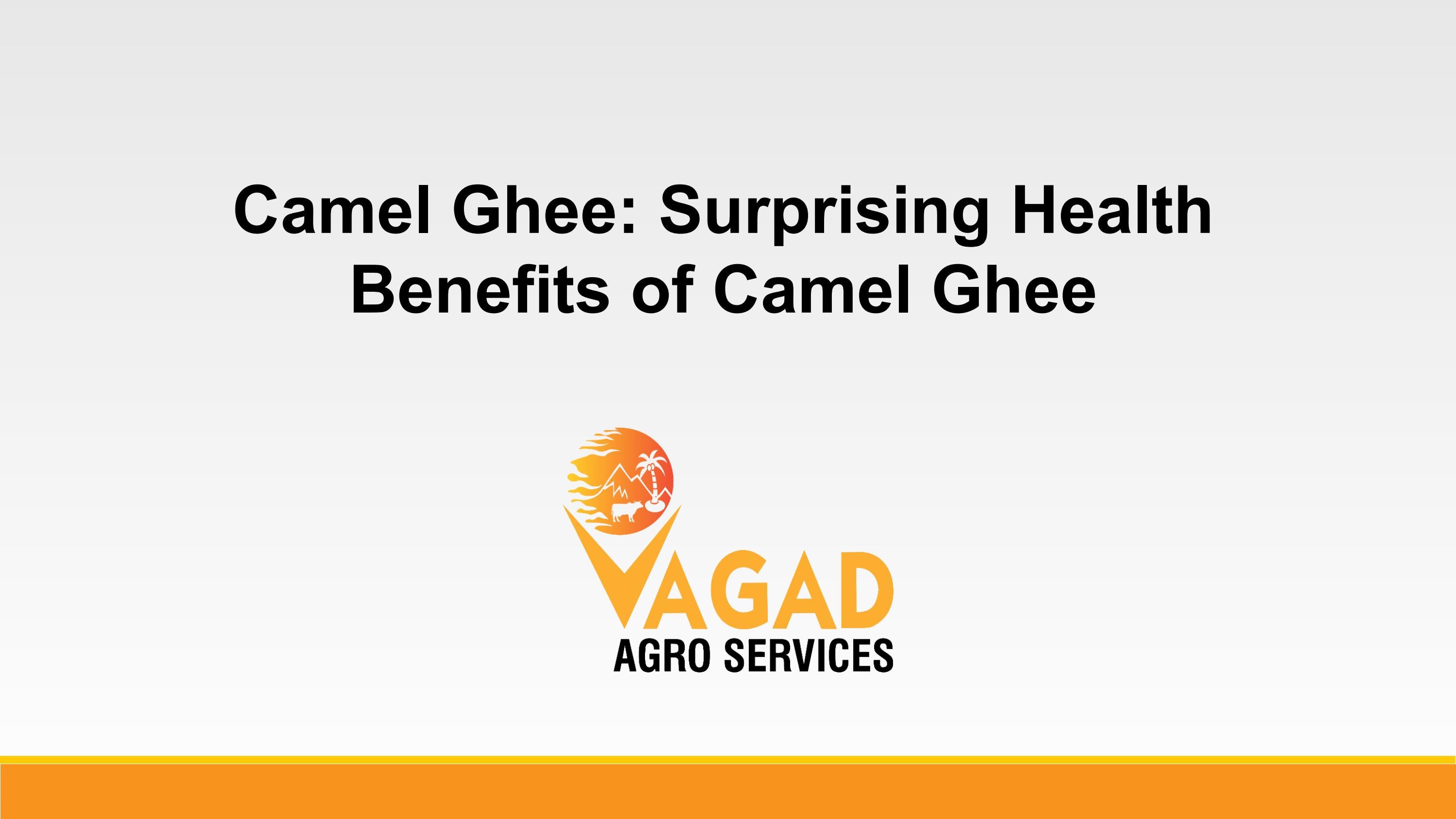 Camel Ghee Surprising Health Benefits of Camel Ghee by Vagad Agro