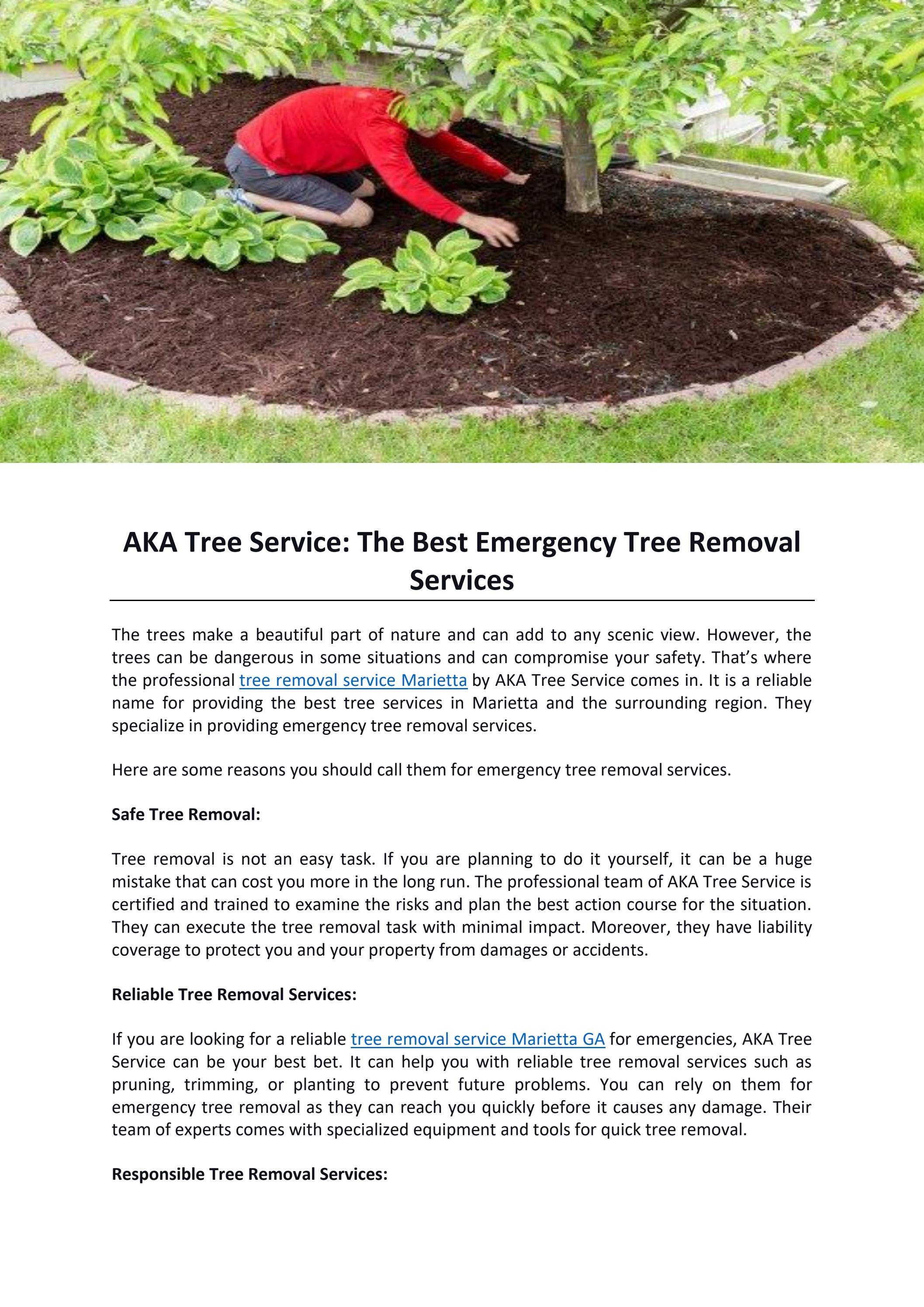 AKA Tree Service The Best Emergency Tree Removal Services by kriss