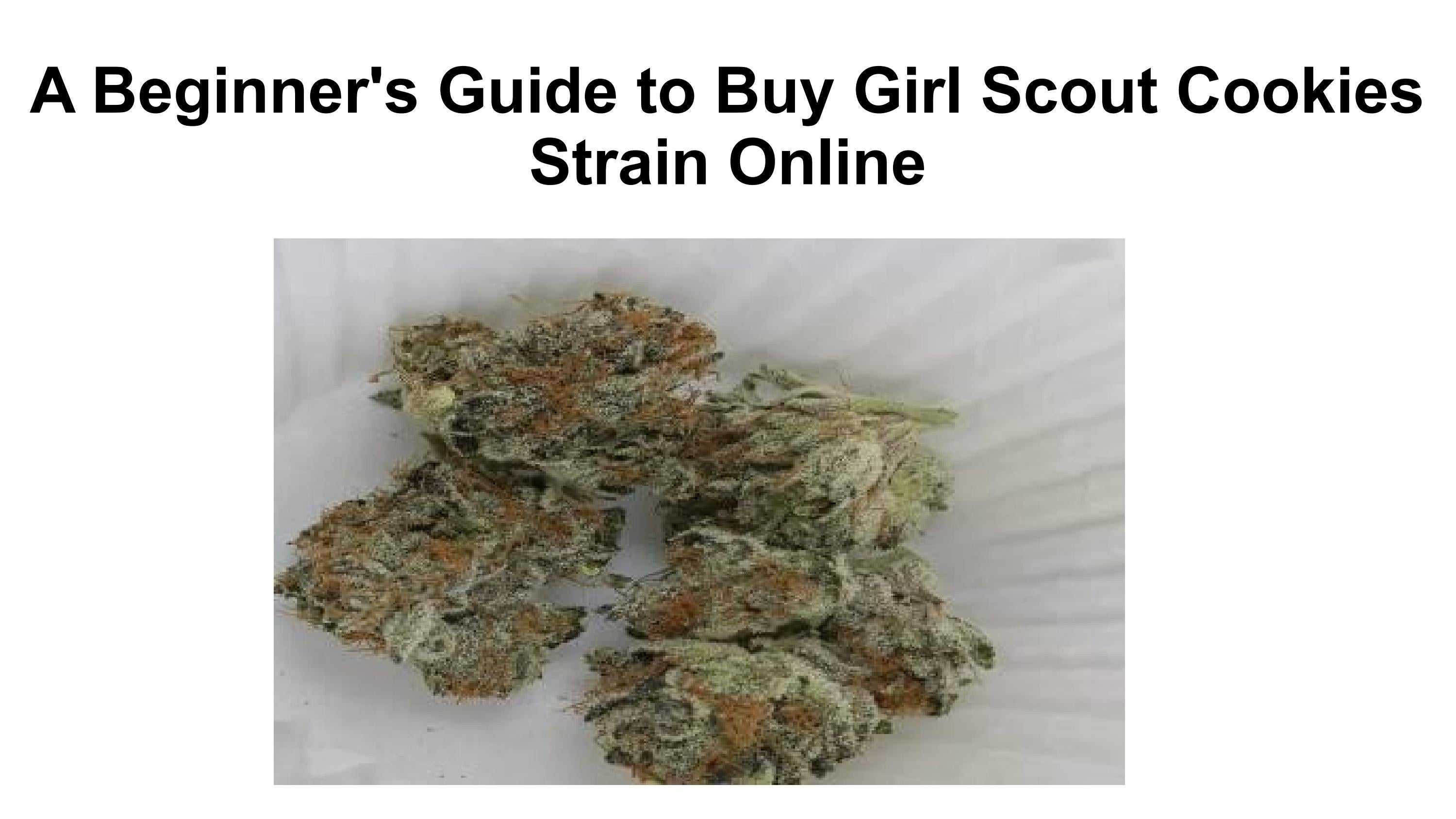 A Beginner's Guide to the Girl Scout Cookies Strain by Angela Voigt Issuu