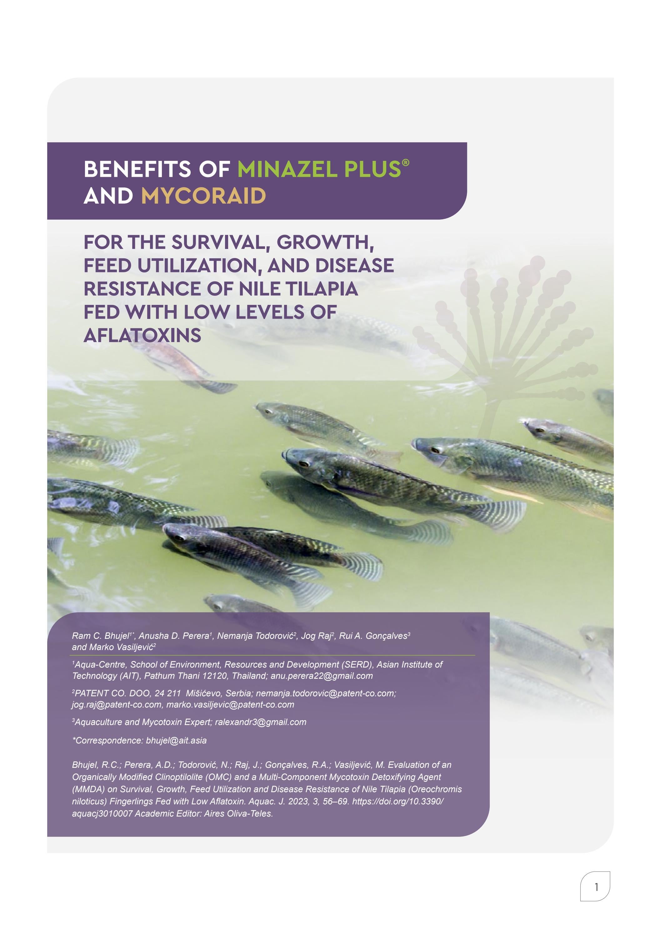 Benefits of Minazel Plus® and MycoRaid in Nile Tilapia by agriNews Issuu