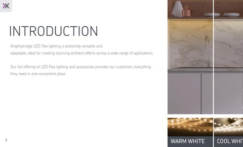 LED Flex from Knightsbridge 第 4 页