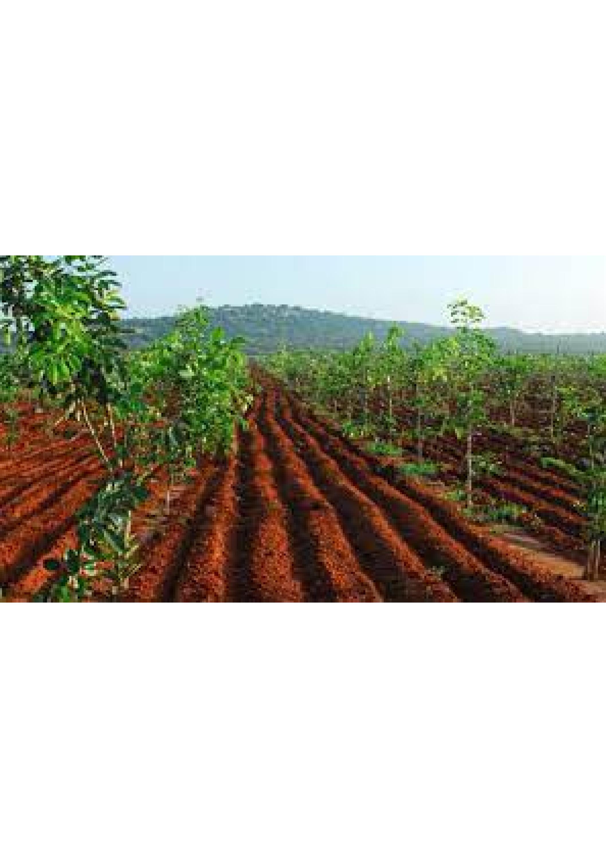 farm land projects in farm land for sale in hyderabad