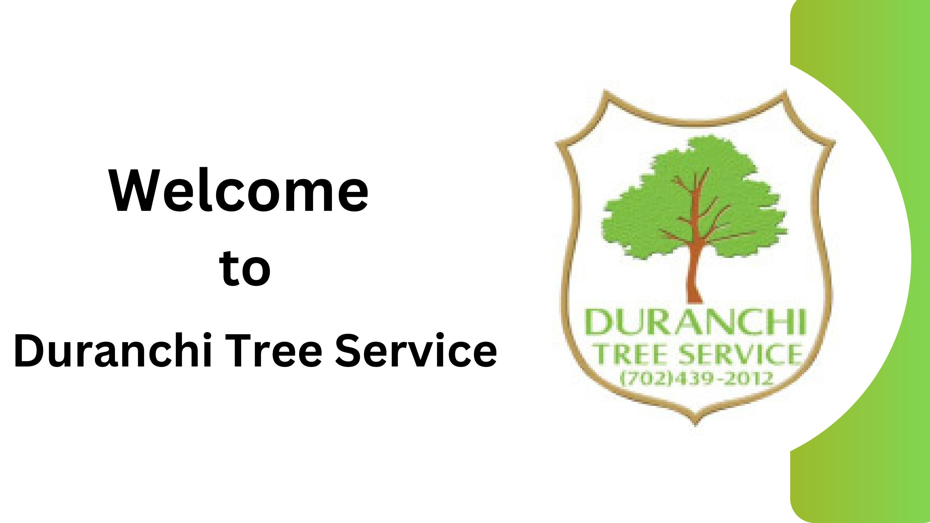 Tree Removal Las Vegas How Duranchi Tree Service Can Help by Duranchi