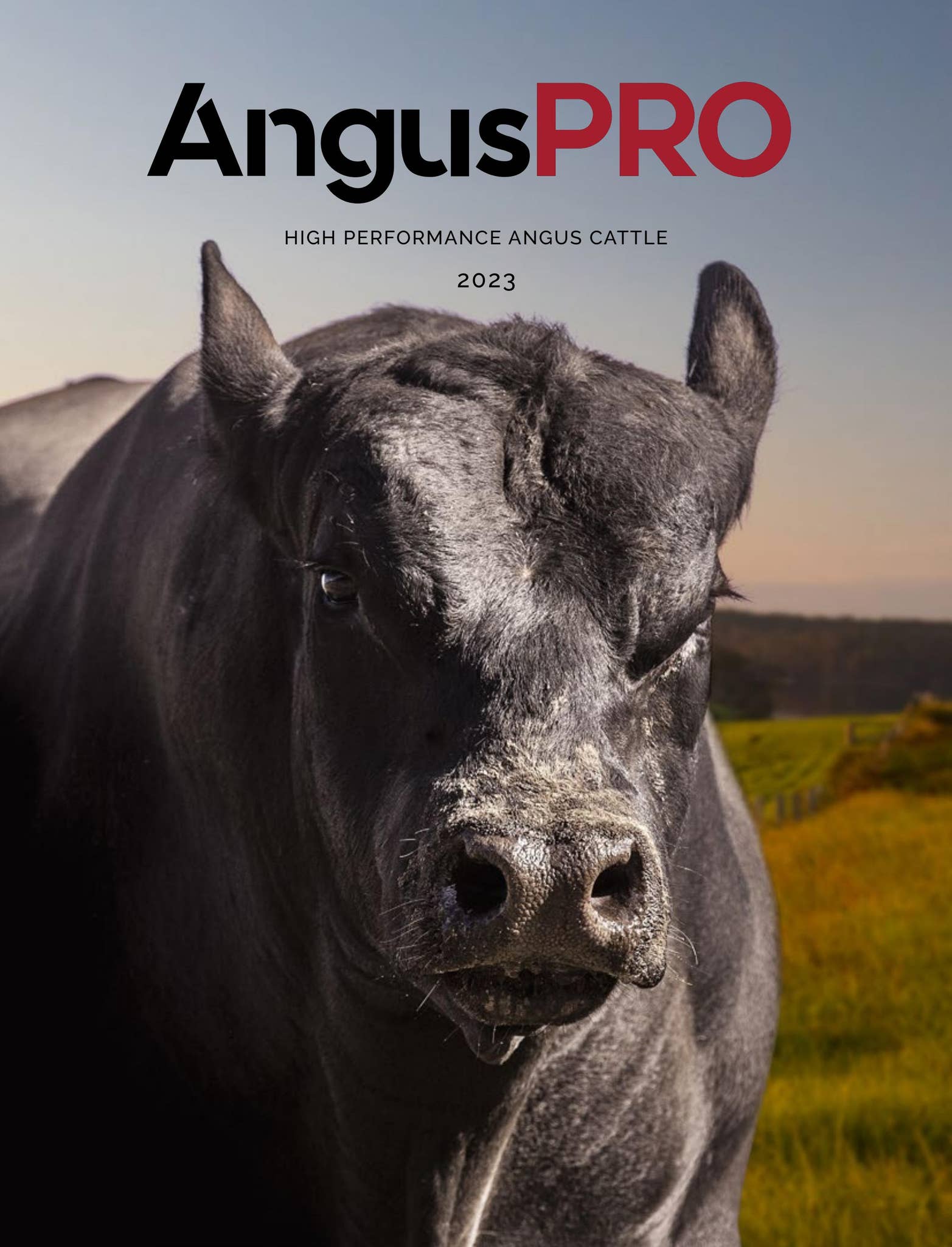 AngusPro Magazine 2023 by Angus Australia - Issuu