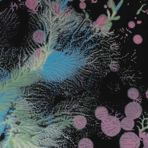 Beyond the Cosmos 第 9 页