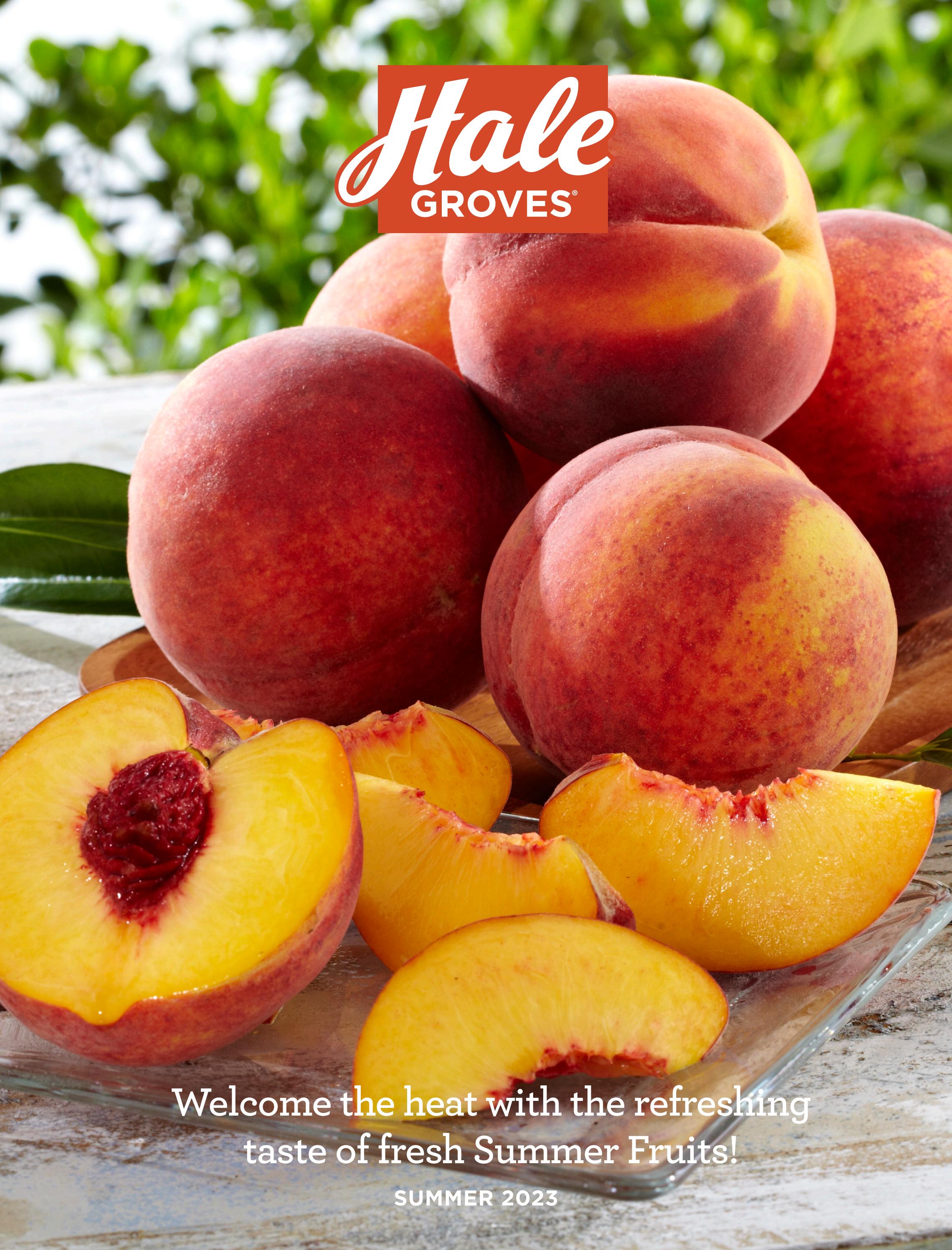 Hale Groves Catalog Summer 2023 by Indrio Brands Issuu