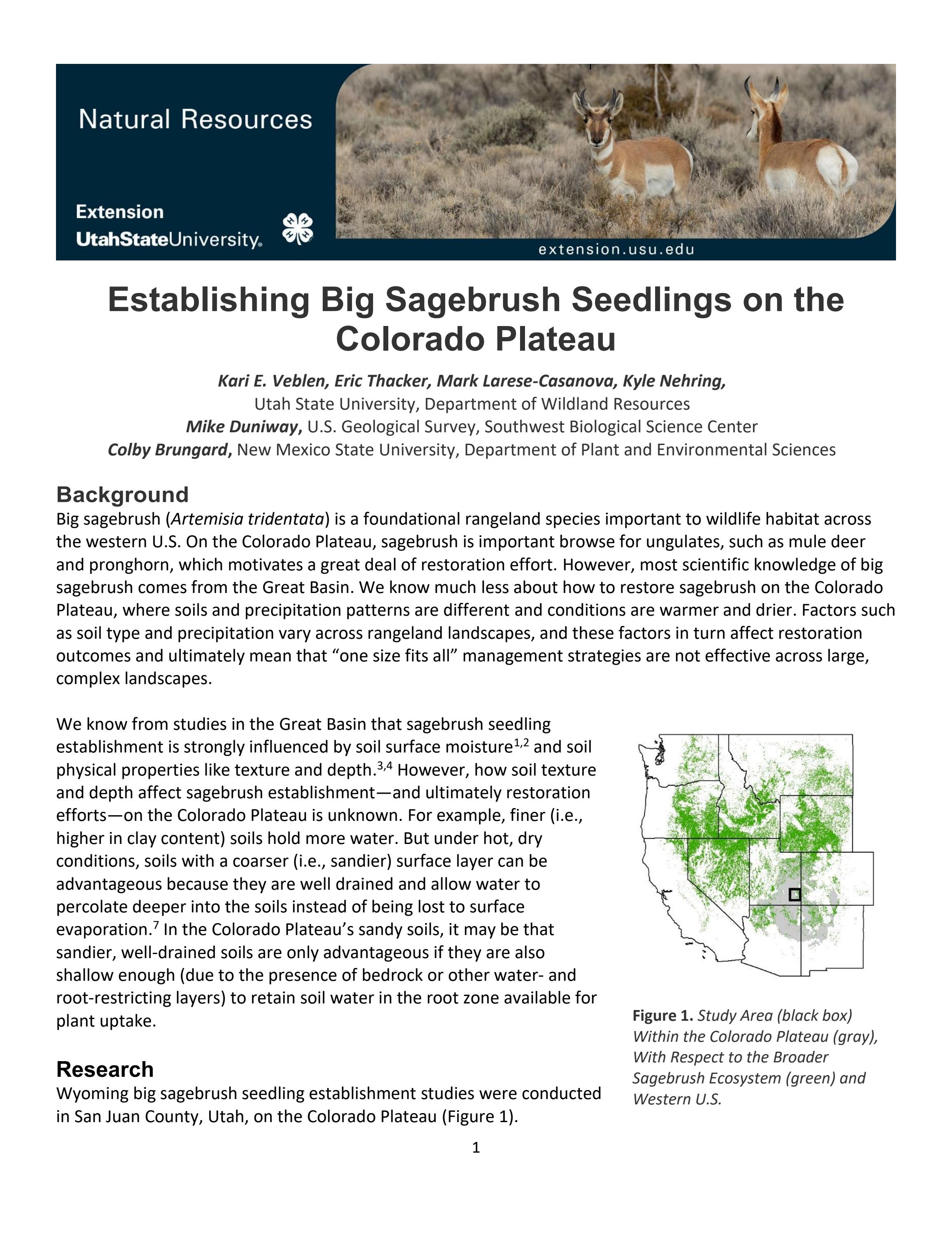 "Establishing Big Sagebrush Seedlings on the Colorado Plateau" by Utah