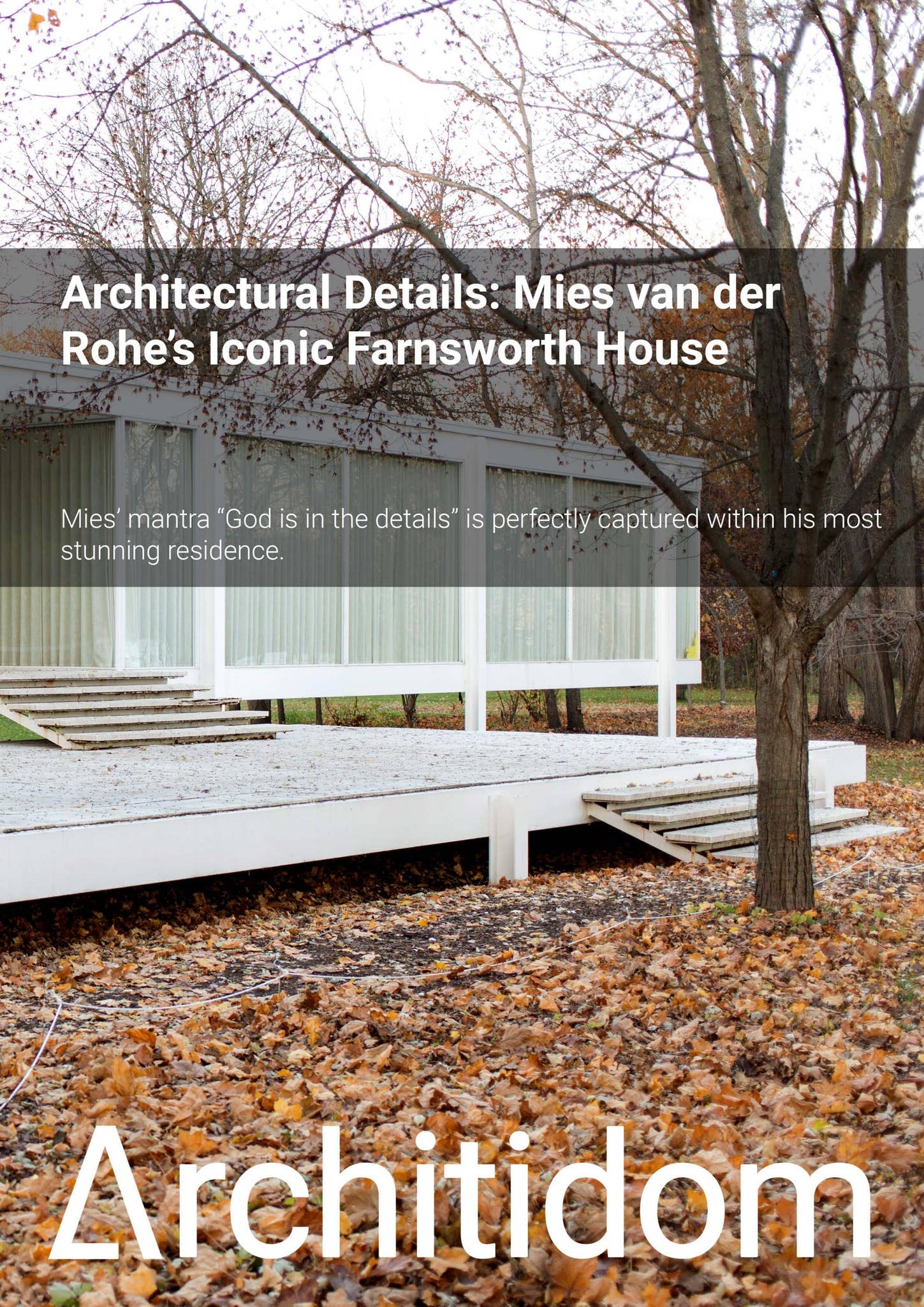 Architectural Details: Mies van der Rohe's Iconic Farnsworth House