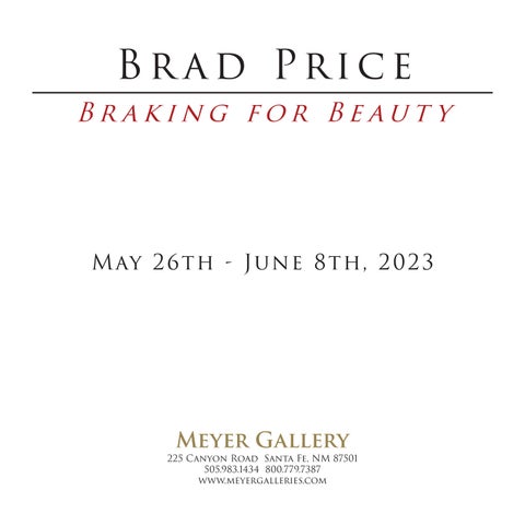 Brad Price: Braking for Beauty 第 3 页