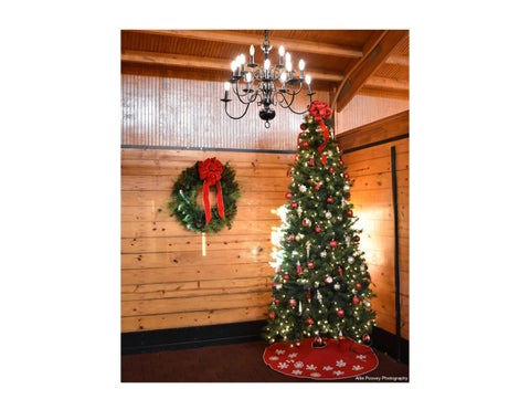 Legacy Christmas 家具手册 第 8 页