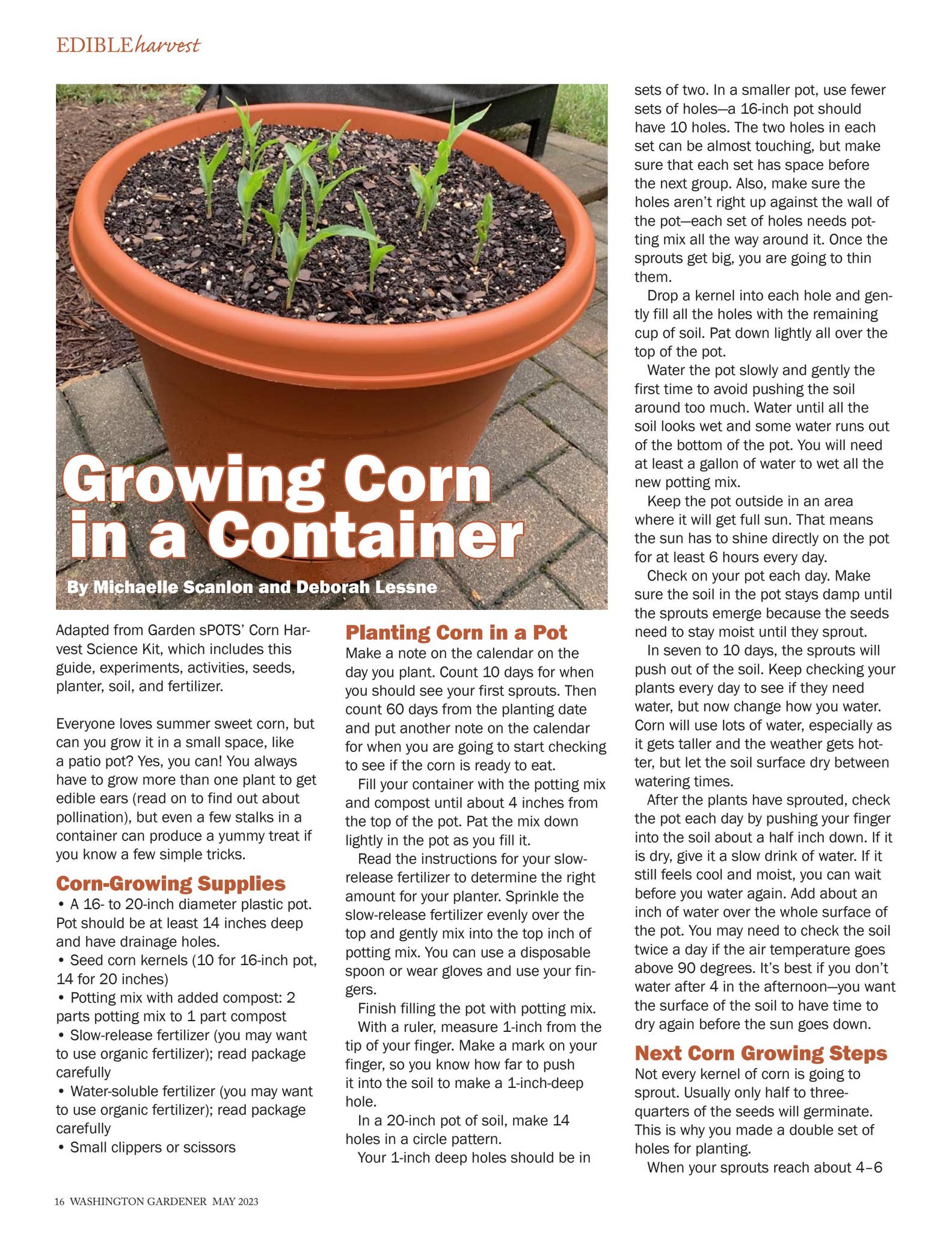 Washington Gardener Magazine May 2023 by Kathy J - Issuu