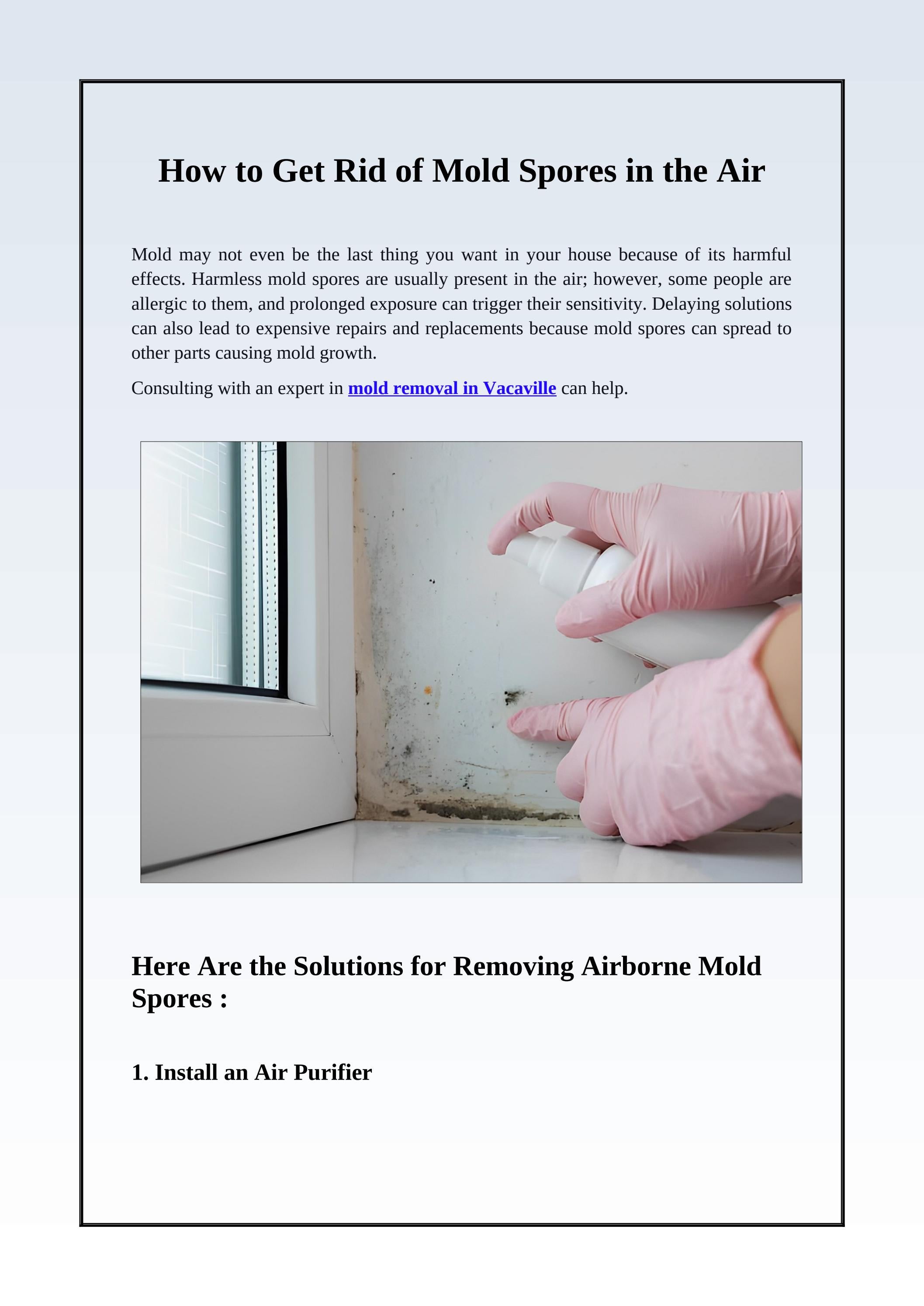 How to Breathe Easy When Molding Spores in the Air by JM Environmental