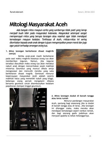 Page 25