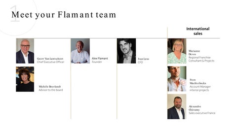 Flamant coorporate presentation 第 10 页