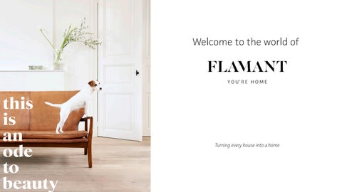 Flamant coorporate presentation 第 2 页