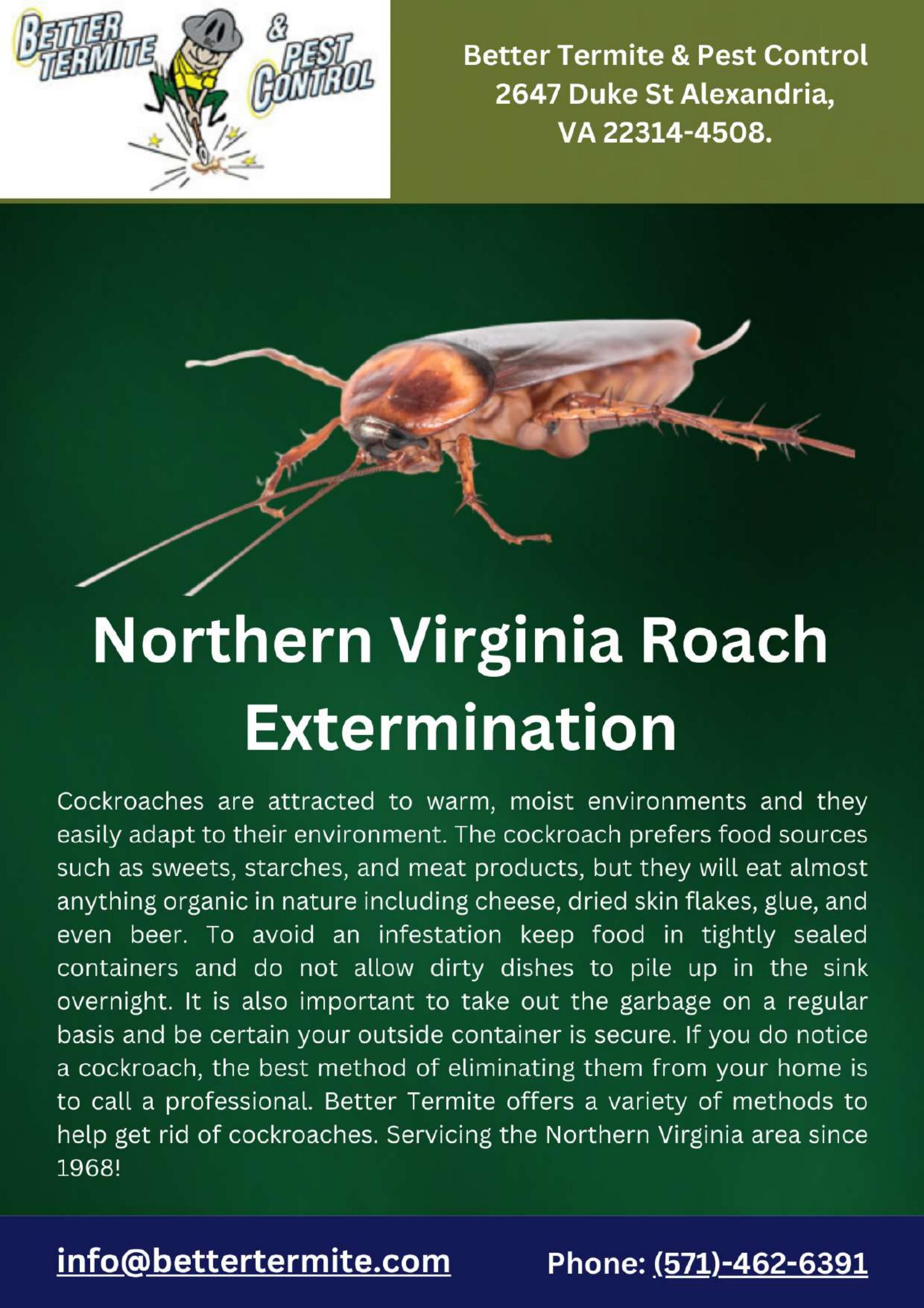 Northern Virginia Roach Extermination by Better termite - Issuu