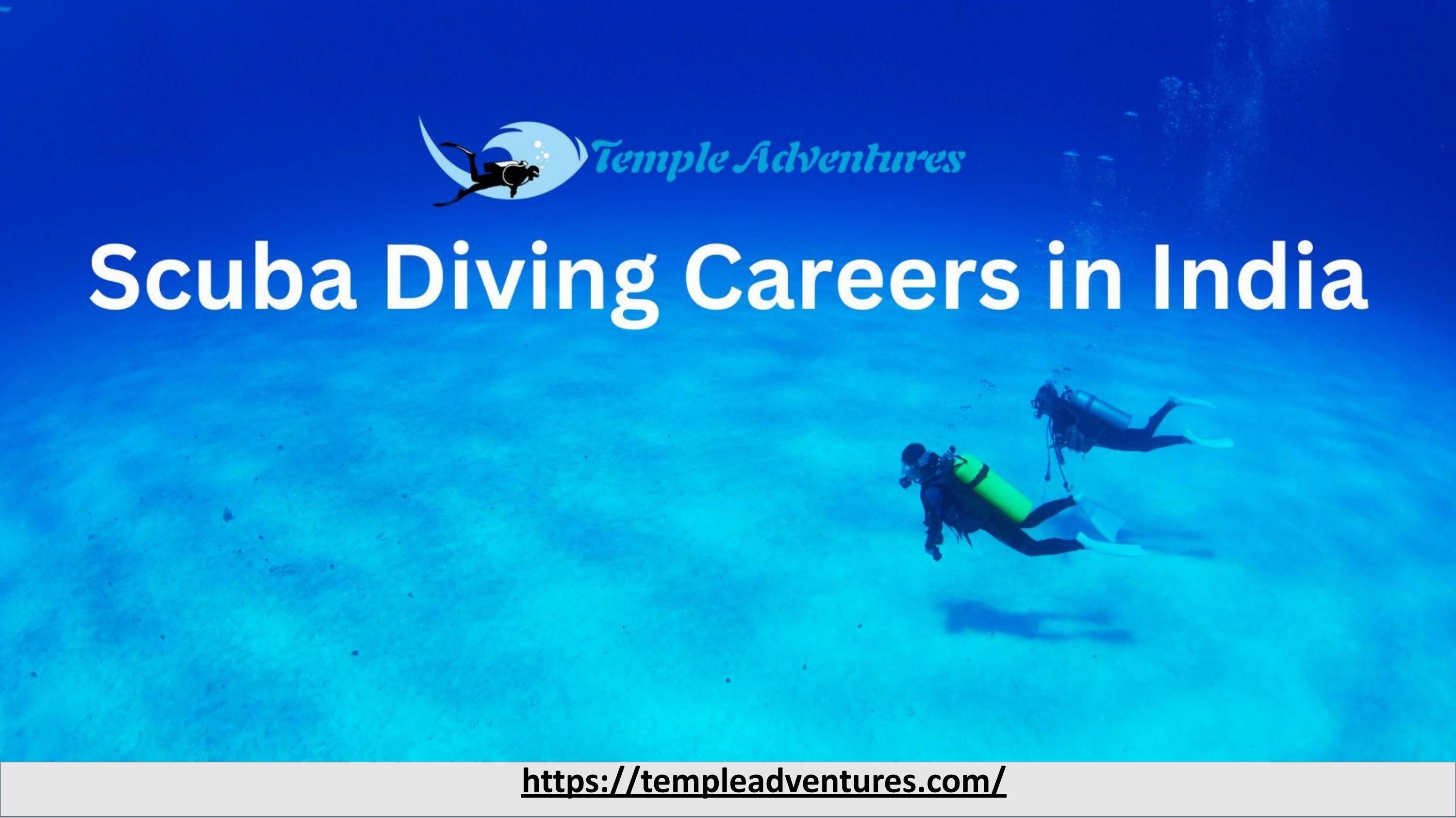 Scuba Diving Careers in India Temple Adventures by templeadventures