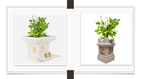 Tulsi stands 第 17 页