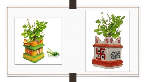 Tulsi stands 第 18 页