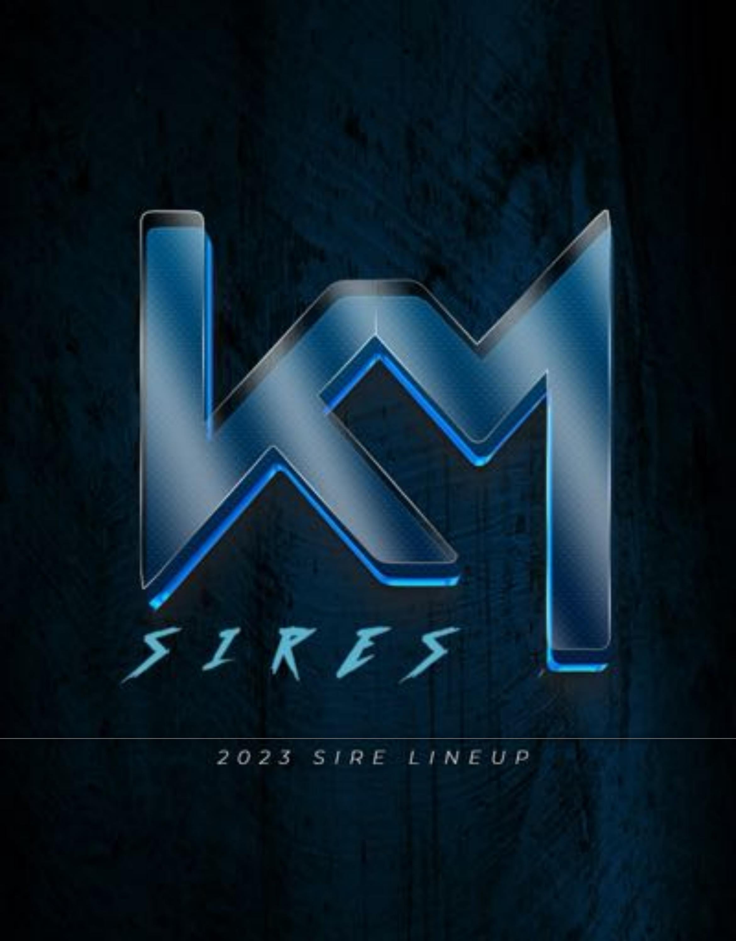 KM SIRES 2023 CATALOG by kempkerlivestock Issuu