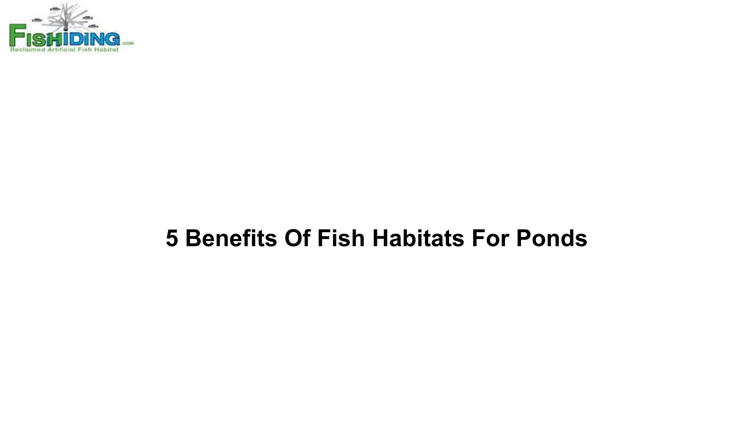 5 Benefits Of Fish Habitats For Ponds by Fishidingreclaimed Issuu