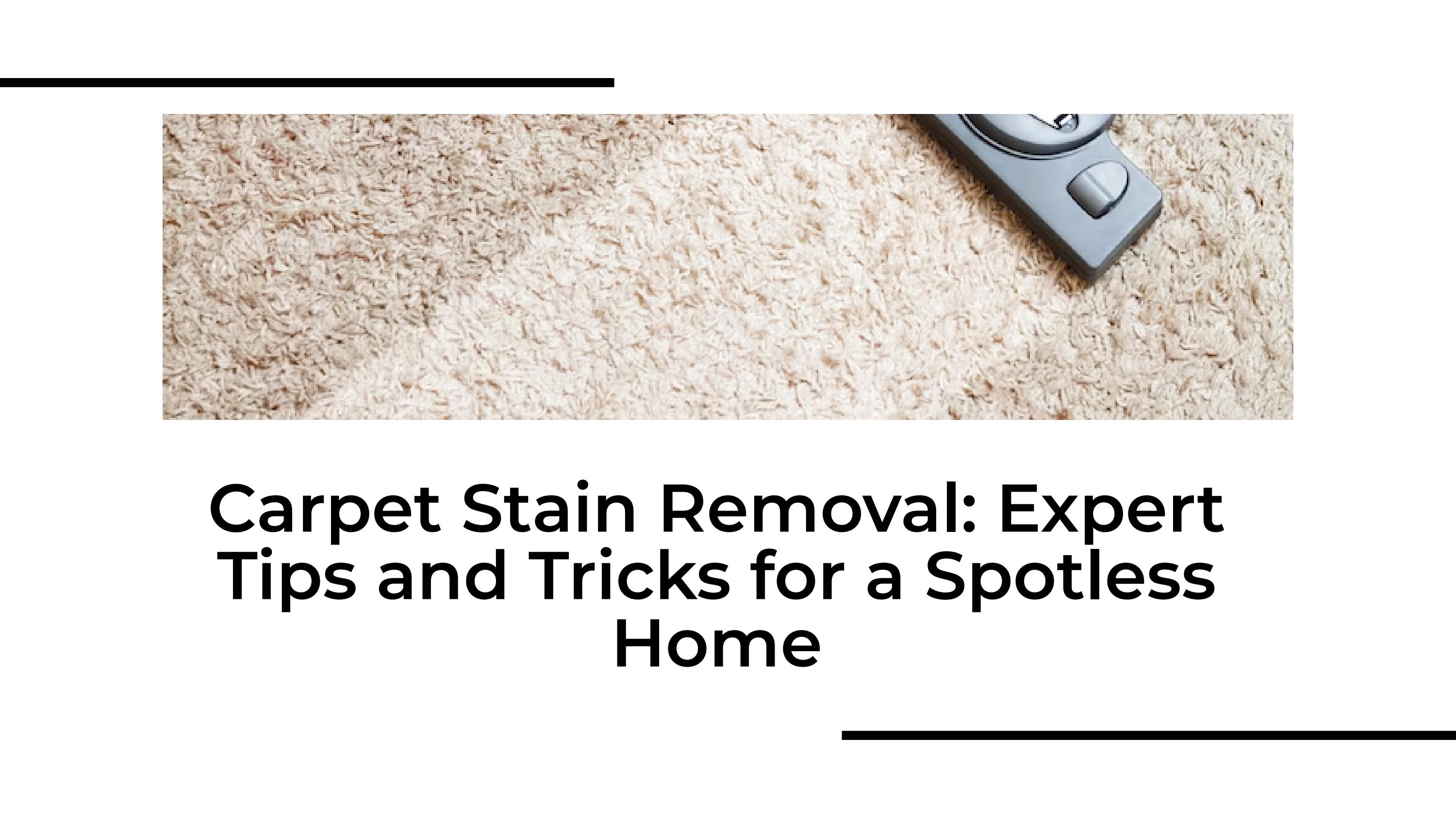 Expert Tips and Tricks for Effective Carpet Stain Removal by Eco Carpet