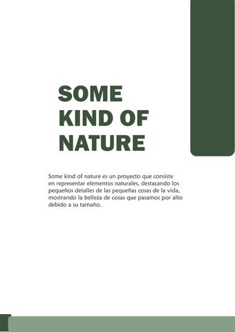 Some Kind of Nature 第 3 页