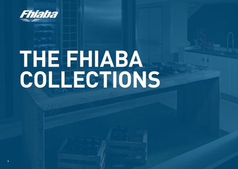 Fhiaba Introduction 第 4 页