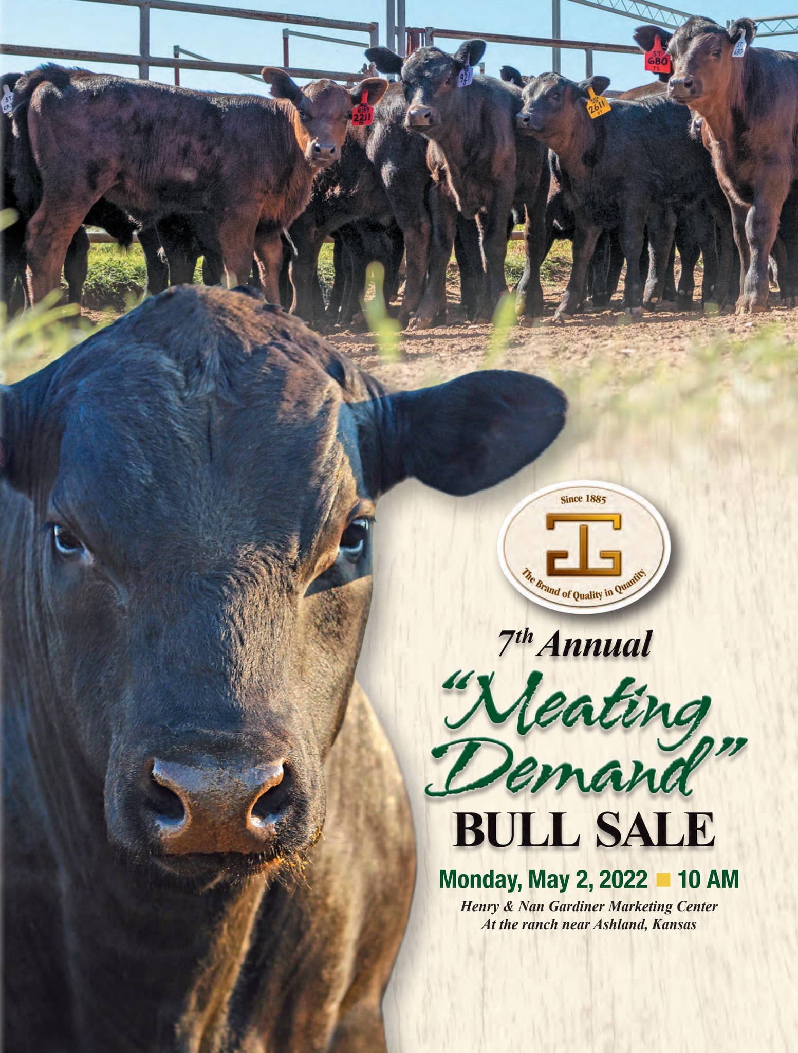 7th Annual Meating Demand Bull Sale Catalog by Gardiner Angus Ranch - Issuu