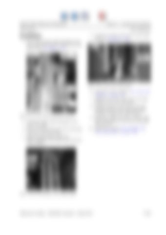 Page 272