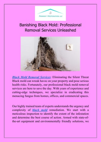 Mold Remediation - Black Mold Removal Specialist Near You