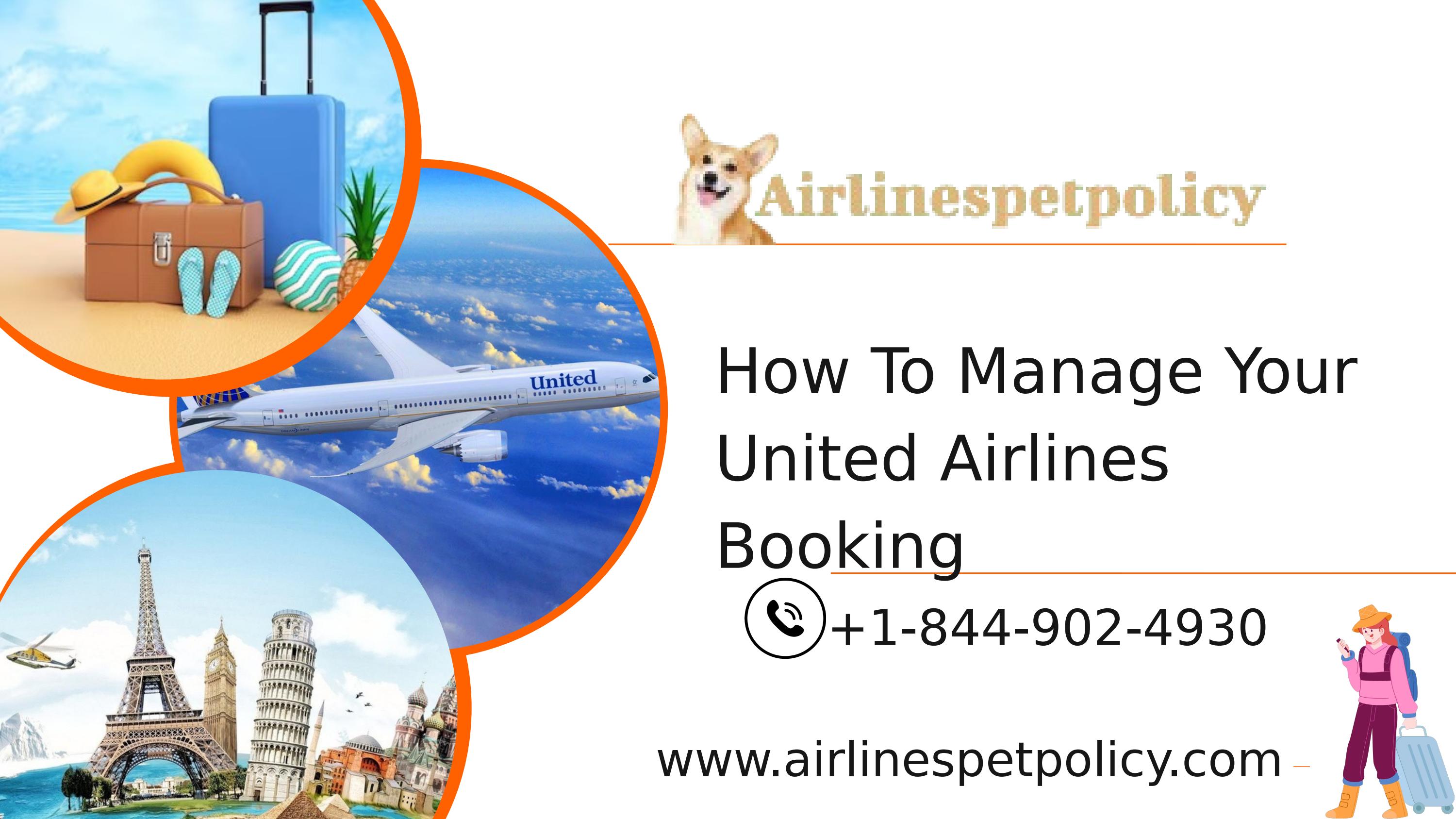 United Airlines Manage Booking Process by Airlines Pet policy Issuu