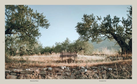 Pimar- Dialoghi Materici 2023 第 4 页