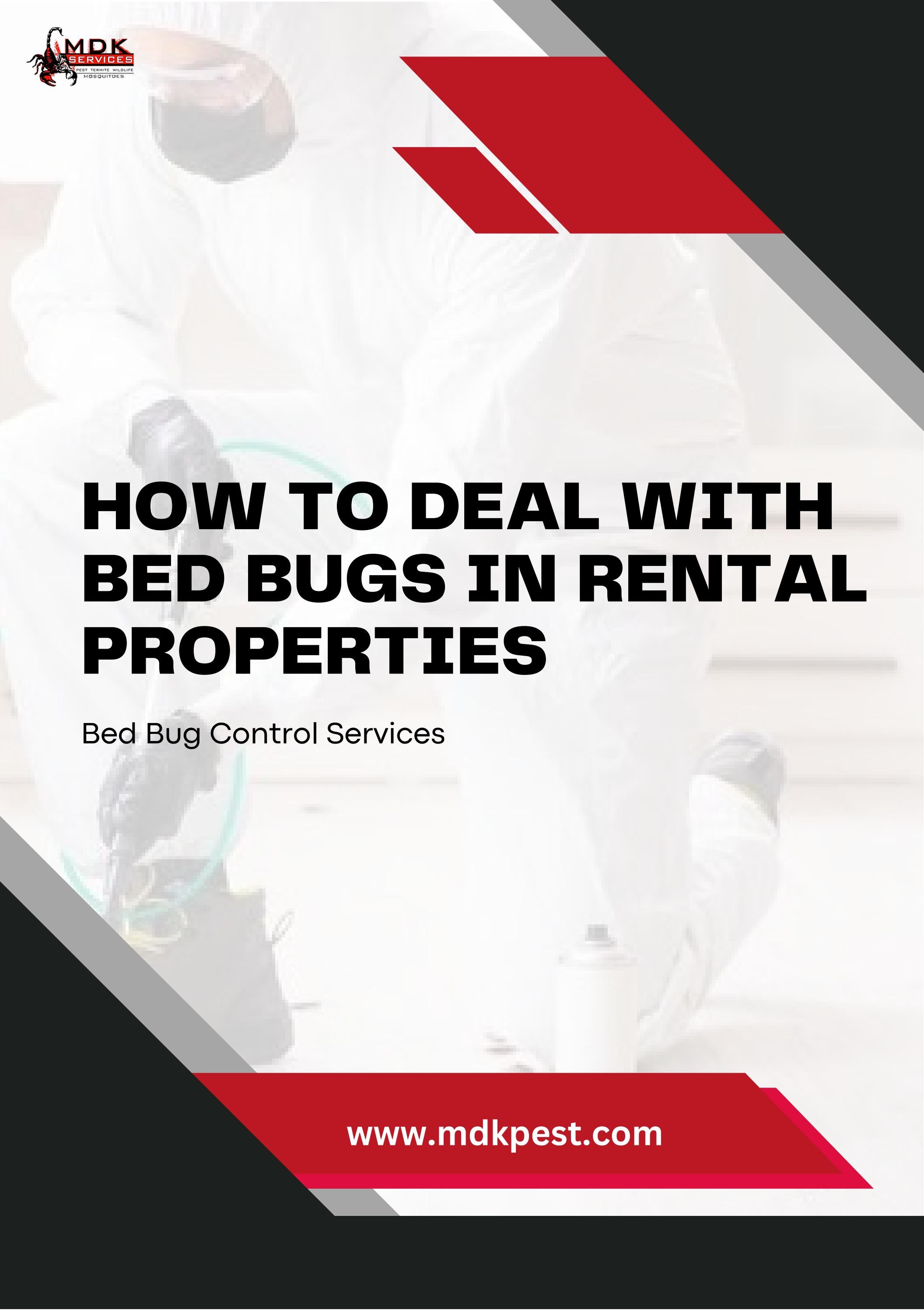 How to Deal with Bed Bugs in Rental Properties? by MDK SERVICES Issuu