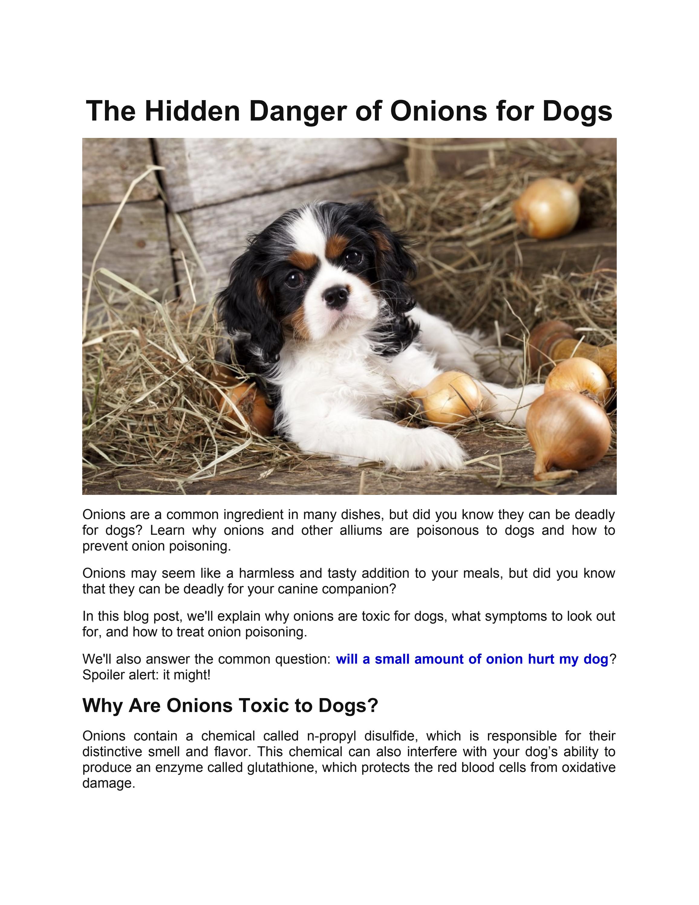 Are Onions Bad For Dogs Symptoms