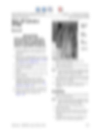 Page 350