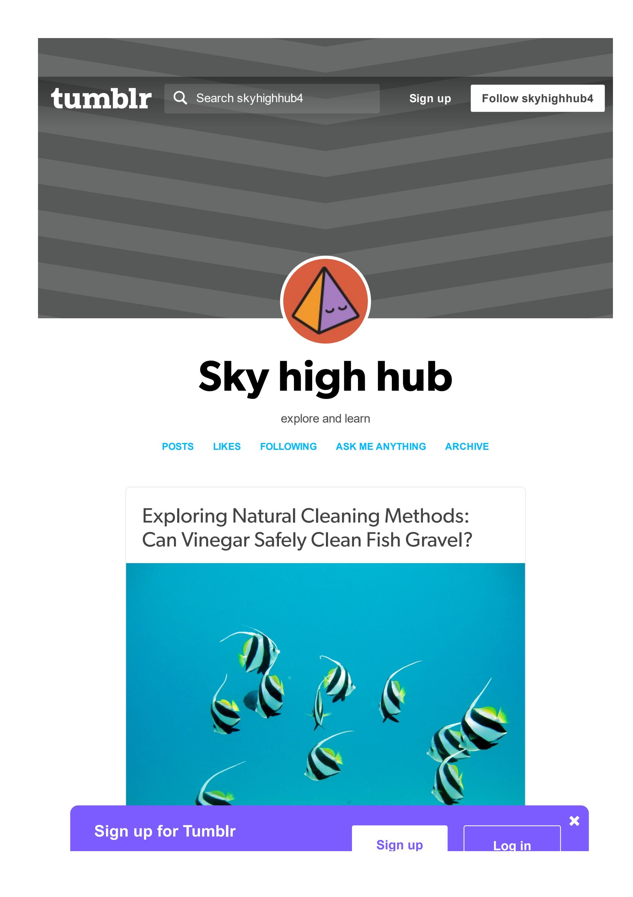 Natural Cleaning Methods Can Vinegar Safely Clean Fish Gravel? by