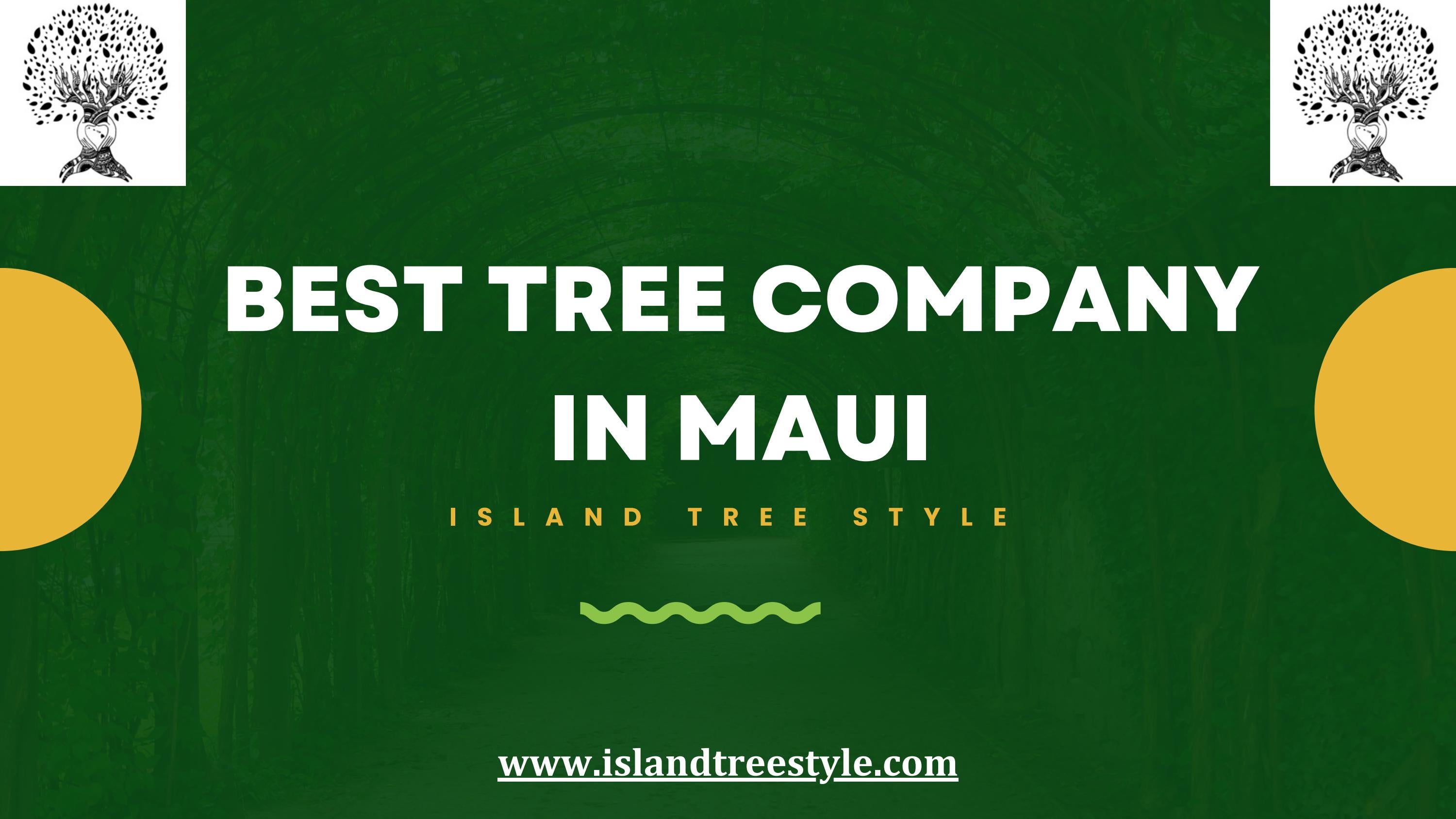 Best Tree Company in Maui, Hawaii Island Tree Style by