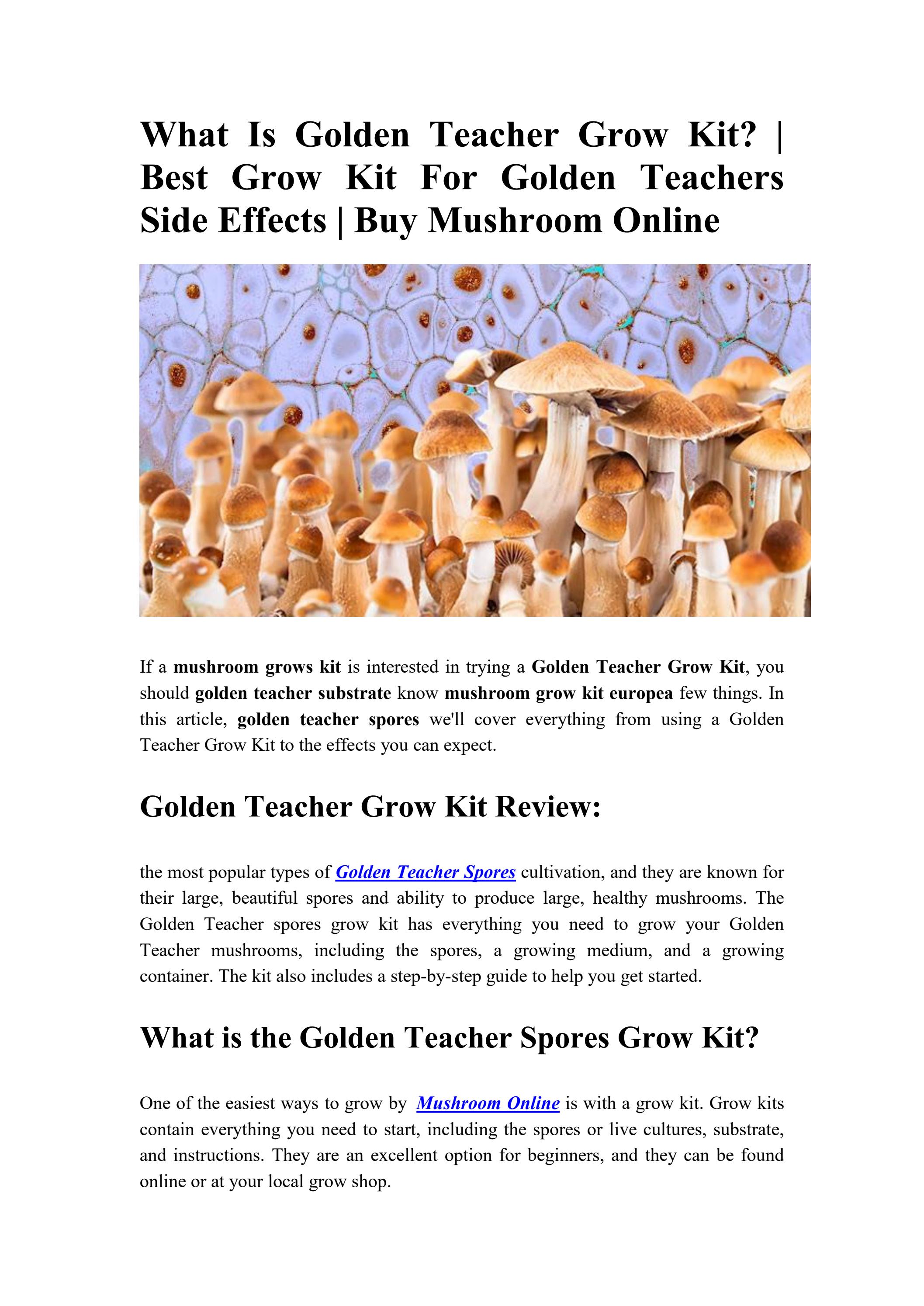 What Is Golden Teacher Grow Kit? Best Grow Kit For Golden Teachers
