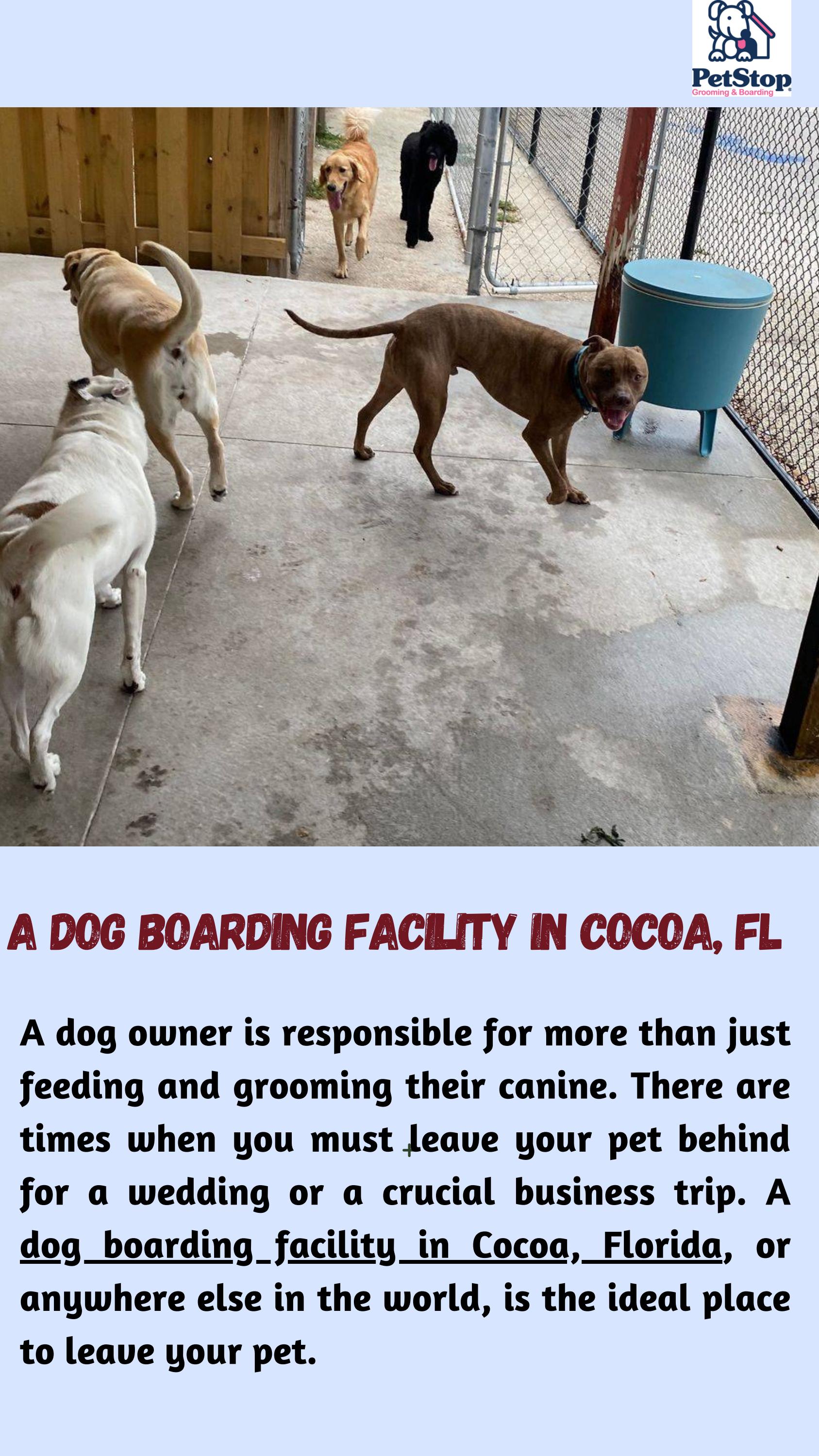 Services For Dog Boarding In Cocoa, FL by Pet Stop Grooming & Boarding