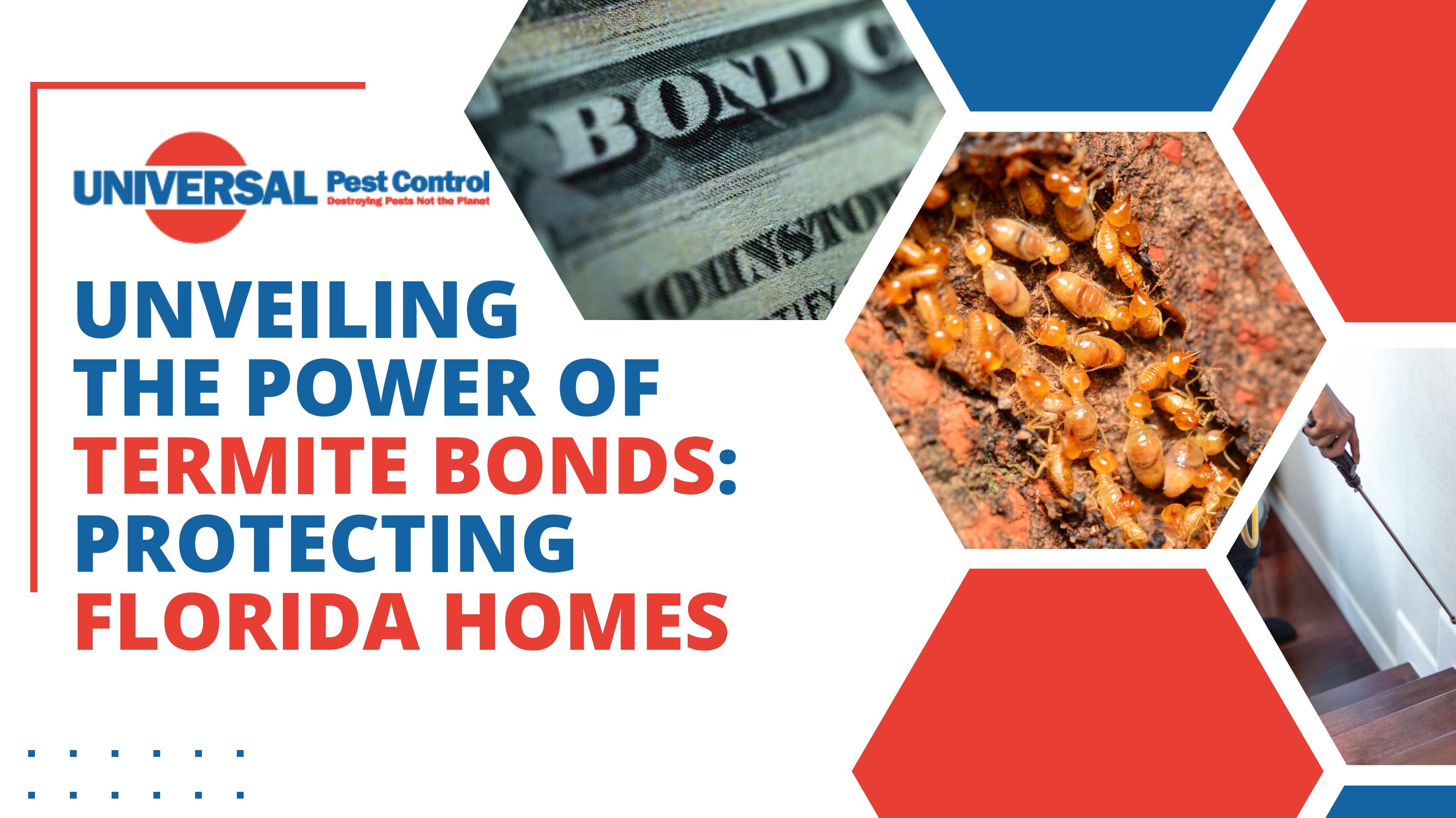 Unveiling the Power of Termite Bonds Protecting Florida Homes by Mark