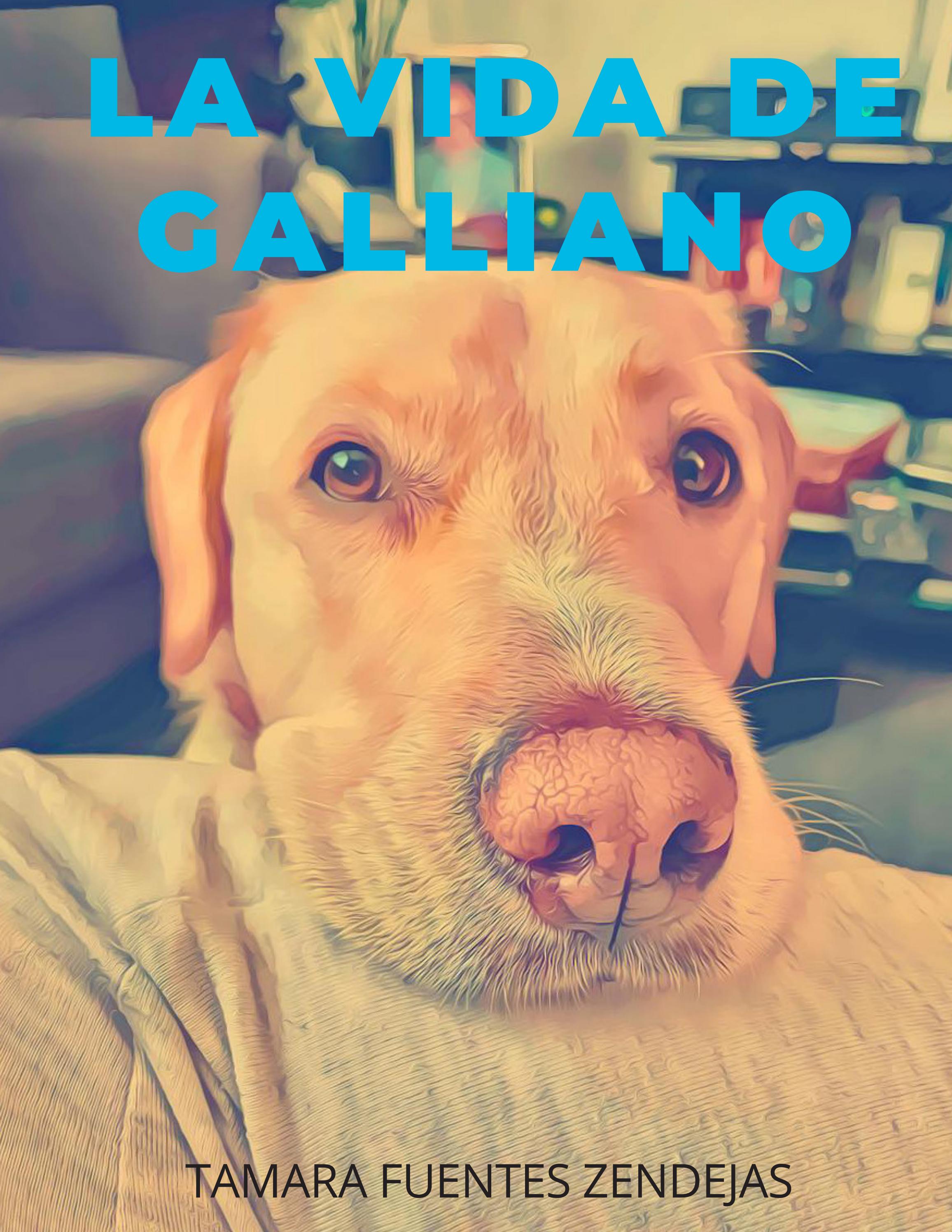 La vida de Galliano by Tamara Zendejas Issuu