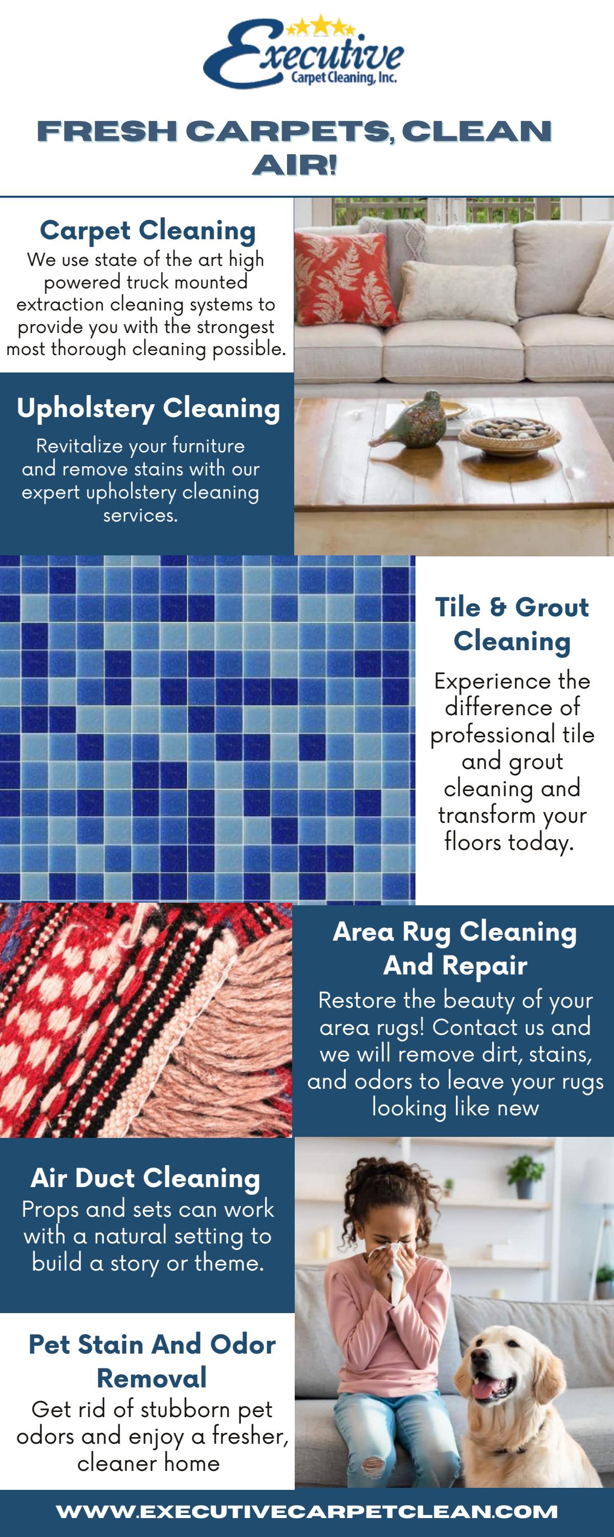 Executive Carpet Cleaning Inc. Carpet, Upholstery, Tile, and Air Duct