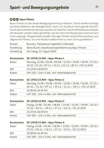 Page 43